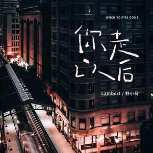 男人插入女人阴道视频
