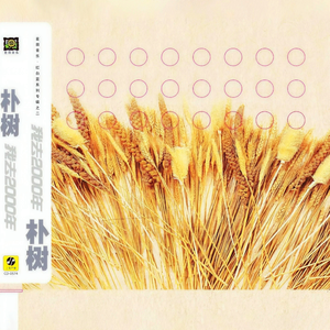 男人插入女人阴道视频
